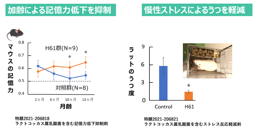 老化指標としての聴力（神経老化）
